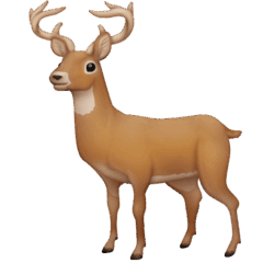 08001s0x-d88f-240x240.png