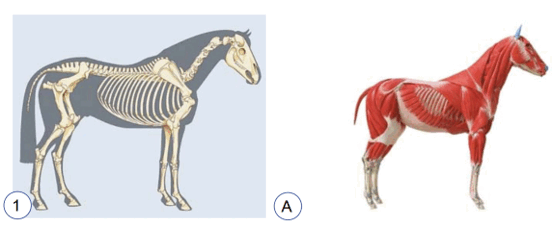 08001y64-538a-552x228.png