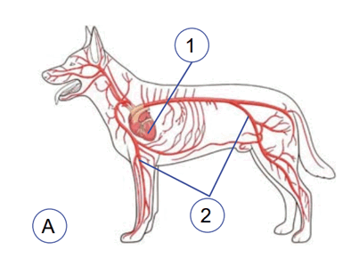 08001y66-476e-403x299.png