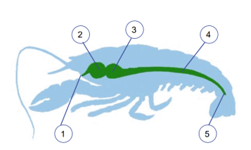 08001y6d-dde3-357x213.png