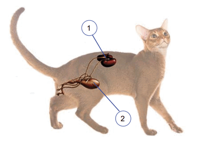 08001y6g-c707-396x284.png