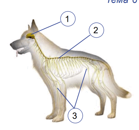 08001y6n-d56d-485x452.png
