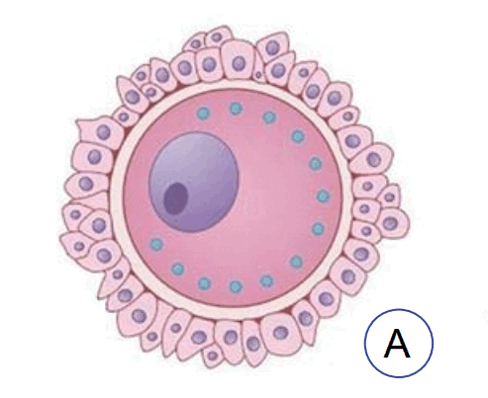 08001y7t-df07-488x398.png