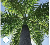 080020lc-198f-196x176.png
