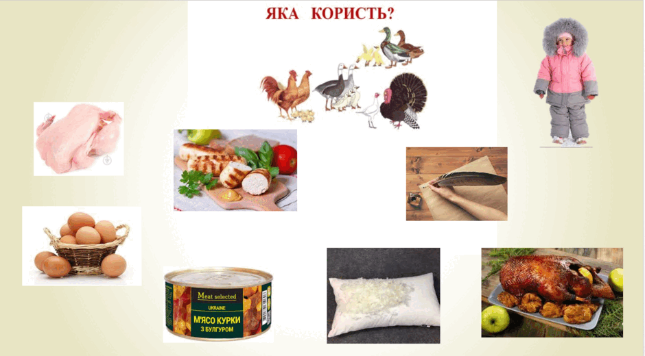 0800215c-c633-940x520.png