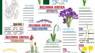 Проєкти-дослідження. Весняні квіти, перелітні птахи, Червона книга України, лікарські рослини, професії, Планети Сонячної Системи