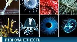 Губки. Жалкі.