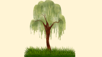 0800284w-4bf6-348x196.png