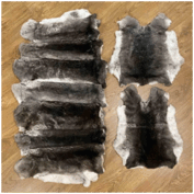08002860-e61b-177x177.png