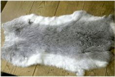 08002868-04d1-236x158.png