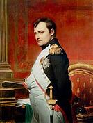 Файл:Napoleon Paul Delaroche.jpg — Википедия