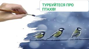 Презентація і супровід до презентації на тему "1 квітня - Міжнародний день птахів"(24 слайди, 6 сторінок)