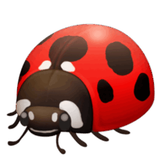 08002bl1-35f9-232x232.png