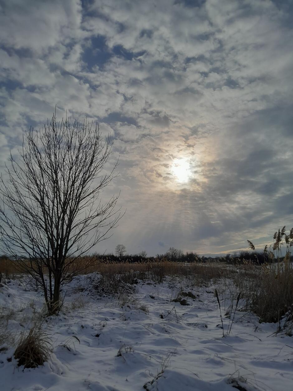 08002bv5-7309-940x1253.jpg