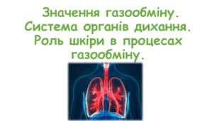 Значення газообміну. Система органів дихання. Роль шкіри в процесах газообміну.  8 клас НУШ