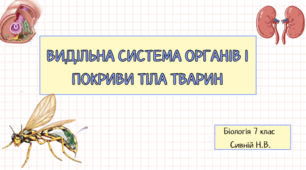 Видільна система органів і покриви тіла тварин. 7 КЛАС НУШ  ЗАДОРОЖНИЙ
