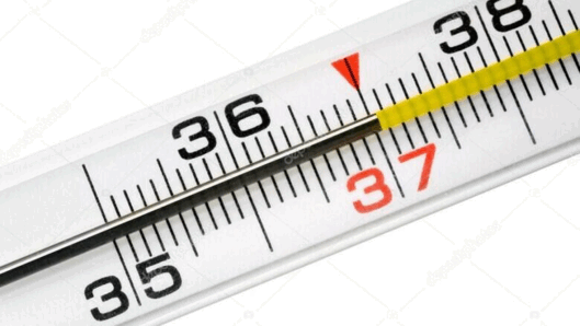 08002fxf-6226-529x298.png