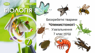 Клас членистоногі. Ракоподібні. Комахи. Павукоподібні. Узагальнення 7 клас НУШ