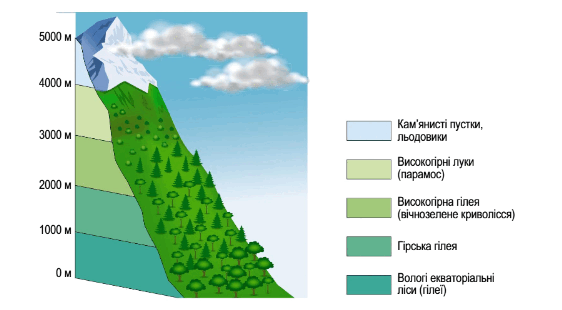 08002gjx-8ec7-562x310.png