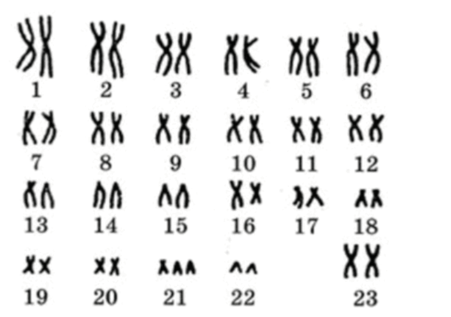 08002hvu-b9bc-887x624.png
