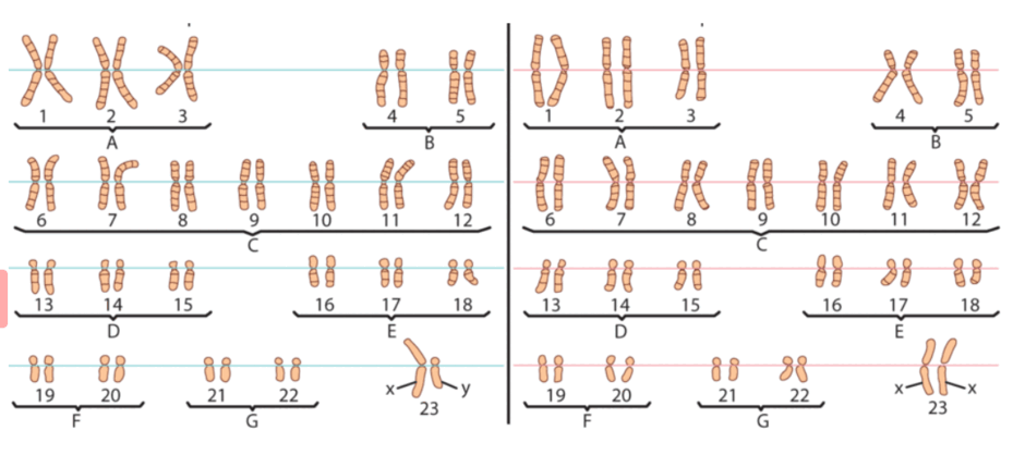 08002hwa-2e74-940x418.png