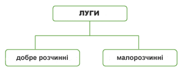 08002ire-7342-608x240.png