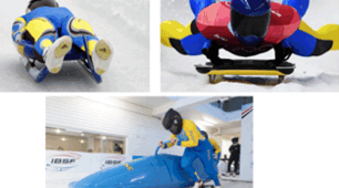 Санні види спорту