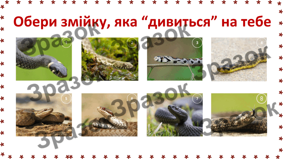 08002pft-30e5-940x529.png