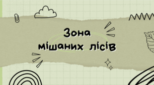 Зона мішаних лісів