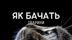 Як бачать тварини