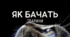 Як бачать тварини