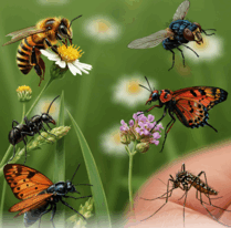 08002rld-2fdf-209x206.png