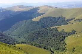 Боржавські полонини, Фото | Туристична довідка | truskavets.ua