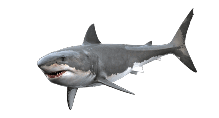 08002smm-a331-940x508.png