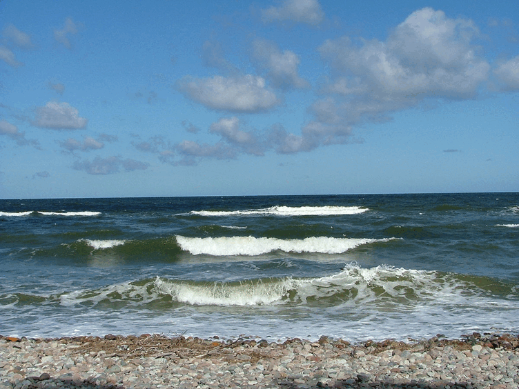 08002vfv-52f4-752x564.png