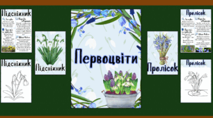 Дидактичний матеріал "Первоцвіти"