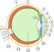 0800300z-8750-181x174.png