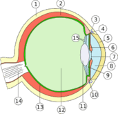 0800305t-a511-171x165.png