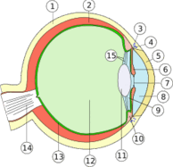 0800308g-3c83-194x187.png
