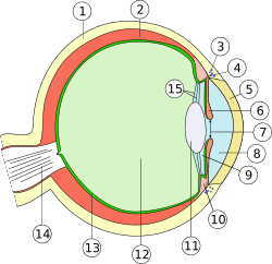 080030bs-f043-250x242.png