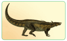 080030np-78d9-226x137.png