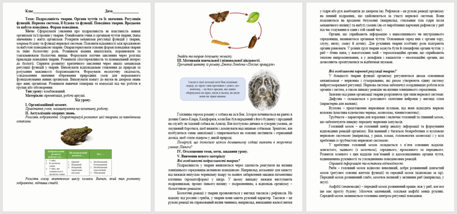 080030z5-ed34-940x441.png