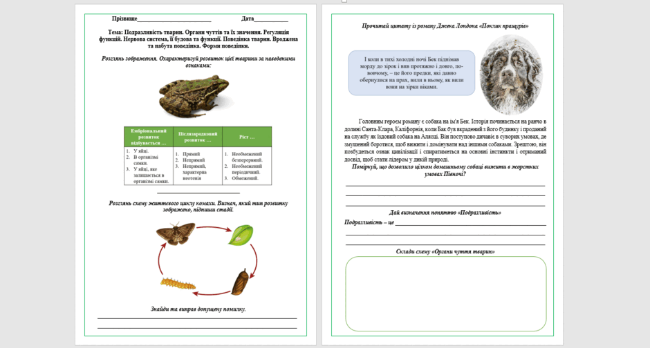 080030zg-4926-940x504.png