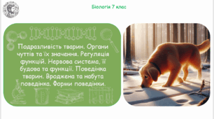 Презентація, конспект уроку та робочі аркуші на тему "Подразливість тварин. Органи чуттів та їх значення. Регуляція функцій. Нервова система, її будова та функції. Поведінка тварин. Вроджена та набута поведінка. Форми поведінки". 7 клас НУШ