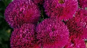 ПРАВИЛА ПЕРЕНЕСЕННЯ СЛІВ
