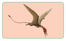080031n7-b3a2-226x142.png