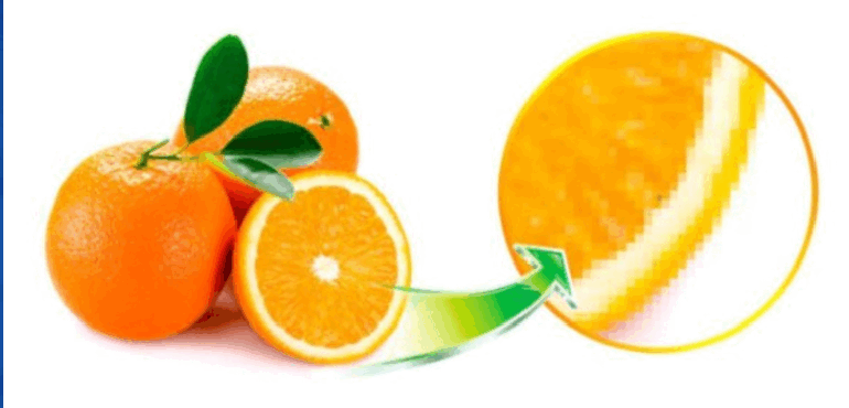080032sp-0d1e-770x370.png