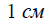 080033f9-99c1-53x24.png