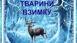 Життя тварин взимку. Лісові мешканці.