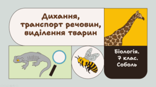 7 клас НУШ.  Дихання, транспорт речовин, виділення тварин